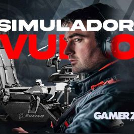 simulador de vuelo profesional