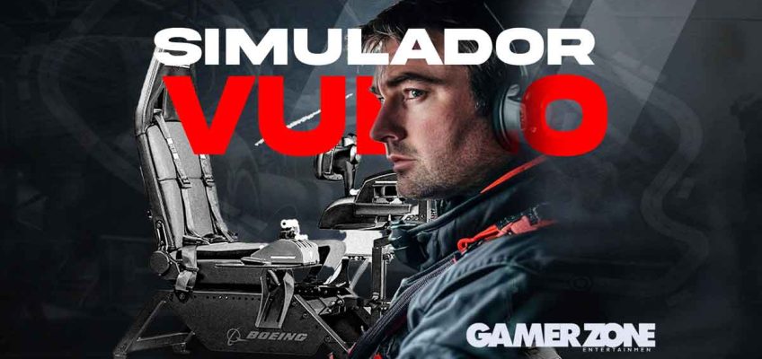 simulador de vuelo profesional