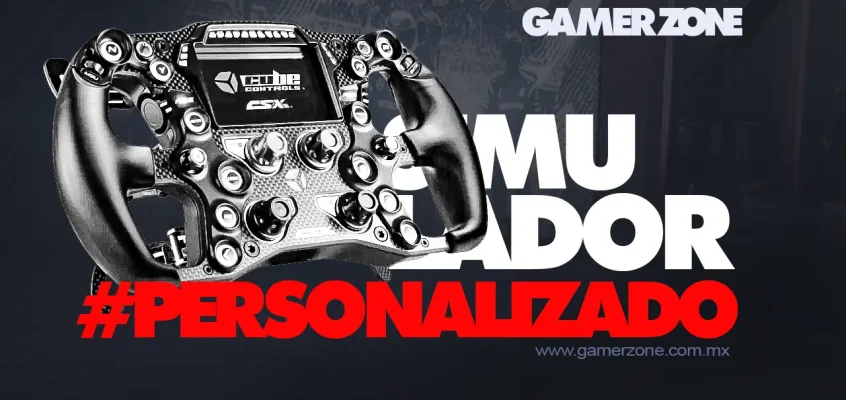 Simulador de Manejo Personalizado