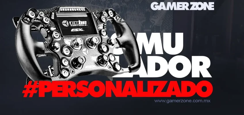 Simulador de Manejo Personalizado